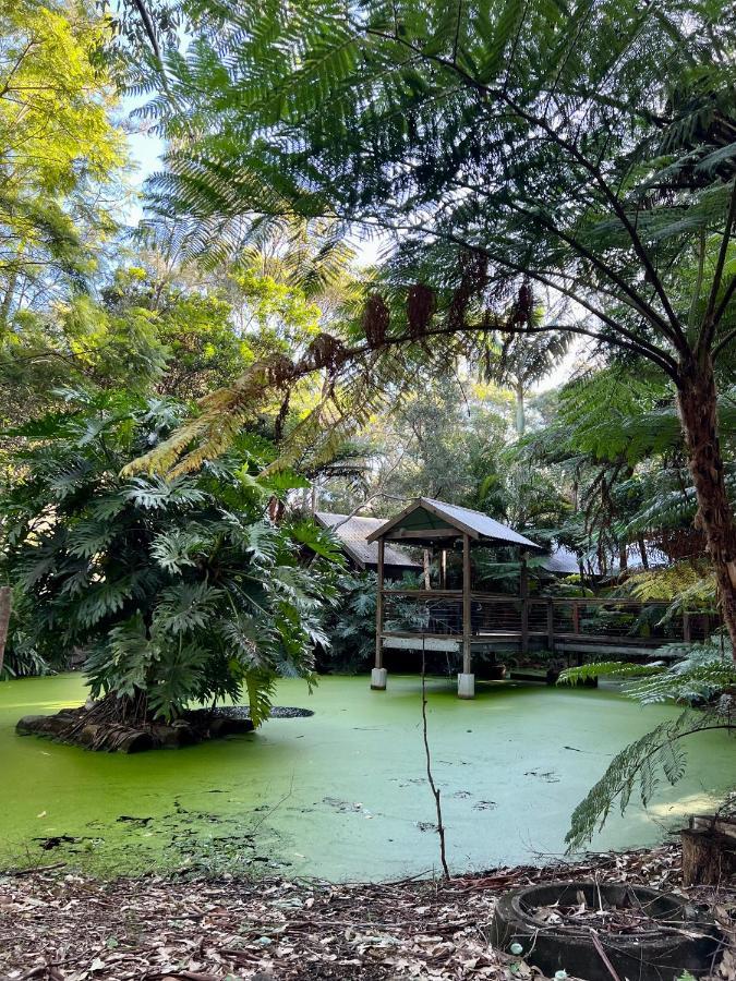 The Oasis At One Mile Beach Nelson Bay Eksteriør bilde